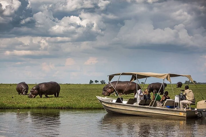 A half-day on the Chobe River, watching wildlife from the water.