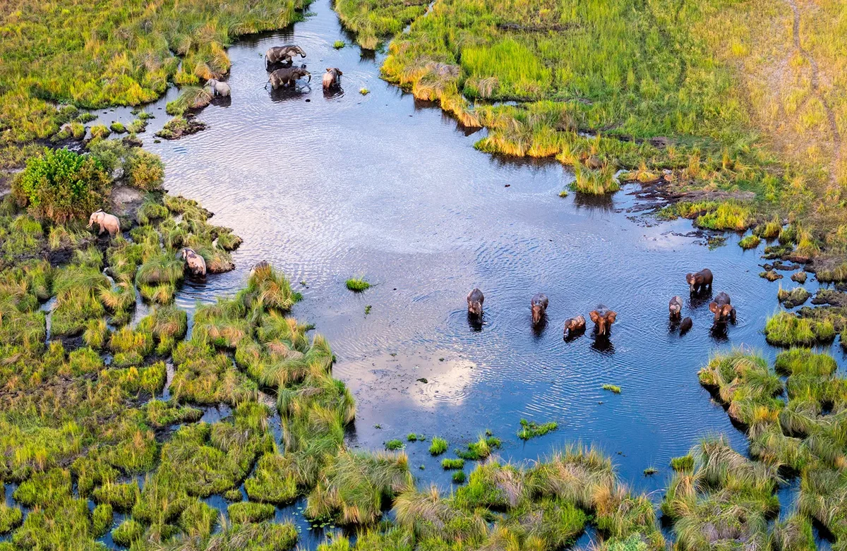 The Okavango’s channels and island landscapes