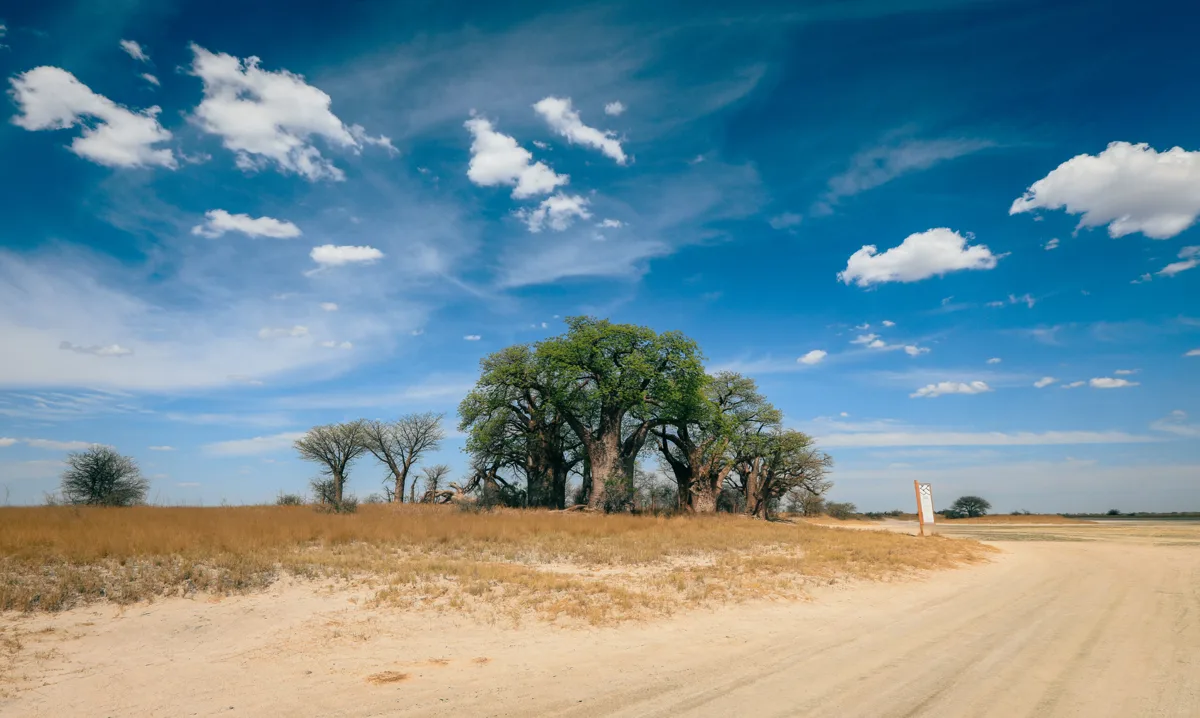 Makgadikgadi and Nxai Pans wildlife and landscape