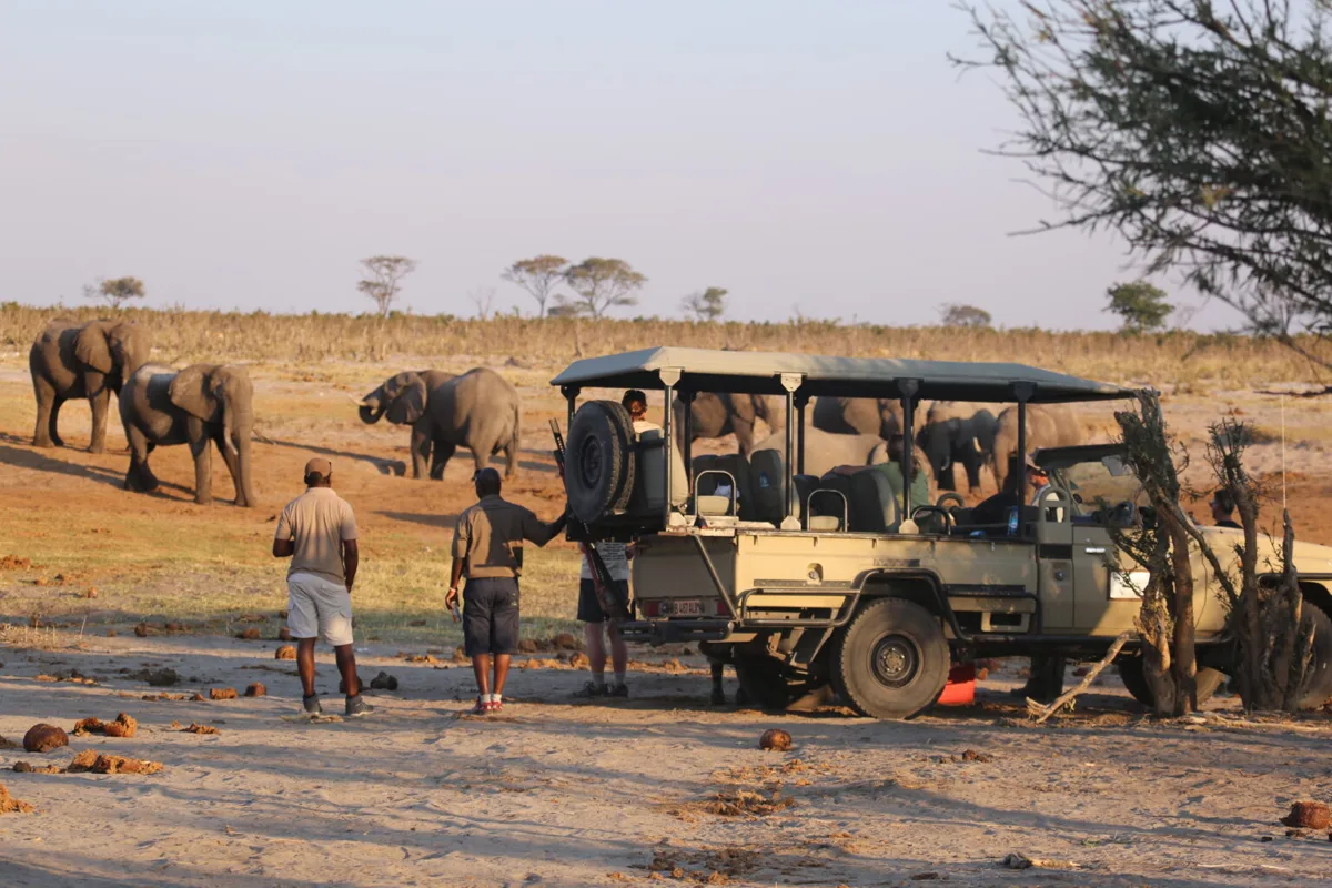 Safari guests exploring Botswana in an open game-viewing vehicle